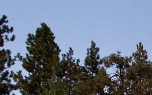 Pine Valley Ranch Apartments In Spokane Wa
